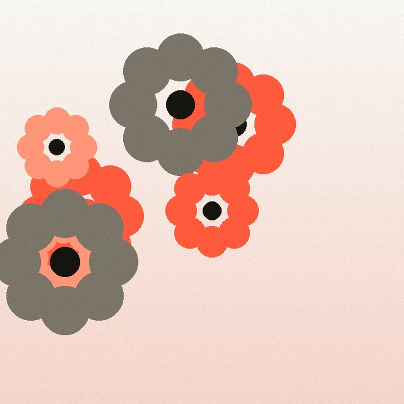 Bloom Studio identity